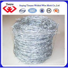 double twist hot dipped galvanized barbed wire